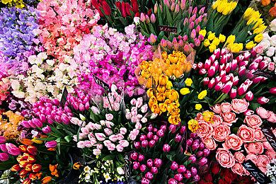 《CYBORG-PROTOTYPE》Steam上线 3D肉鸽战斗