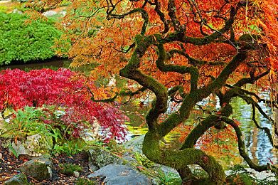 疯狂快递员！新游《Deliver At All Costs》公布